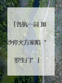 各执一词 加沙停火方案陷“罗生门”