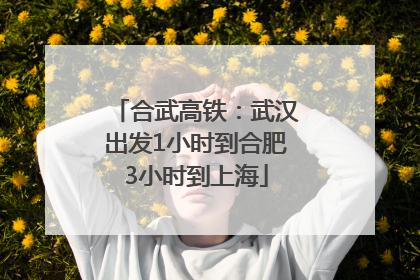合武高铁：武汉出发1小时到合肥3小时到上海