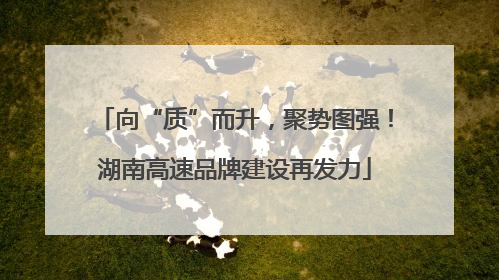 向“质”而升，聚势图强！湖南高速品牌建设再发力