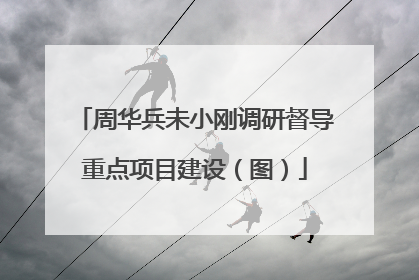 周华兵未小刚调研督导重点项目建设（图）
