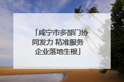 咸宁市多部门协同发力 精准服务企业落地生根
