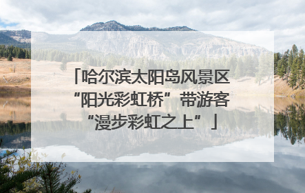 哈尔滨太阳岛风景区“阳光彩虹桥”带游客“漫步彩虹之上”