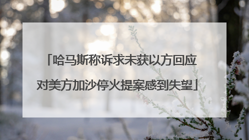 哈马斯称诉求未获以方回应 对美方加沙停火提案感到失望