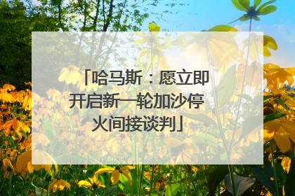 哈马斯：愿立即开启新一轮加沙停火间接谈判
