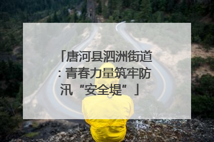 唐河县泗洲街道：青春力量筑牢防汛“安全堤”