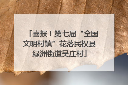 喜报！第七届“全国文明村镇”花落民权县绿洲街道吴庄村