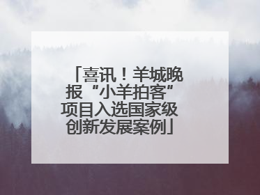 喜讯！羊城晚报“小羊拍客”项目入选国家级创新发展案例