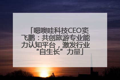 嗯噢哇科技CEO窦飞鹏：共创旅游专业能力认知平台，激发行业“自生长”力量