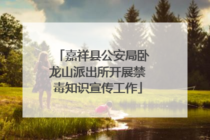 嘉祥县公安局卧龙山派出所开展禁毒知识宣传工作