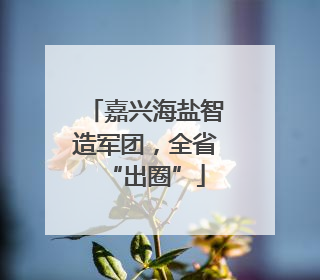 嘉兴海盐智造军团，全省“出圈”