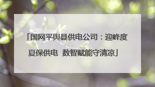 国网平舆县供电公司：迎峰度夏保供电  数智赋能守清凉