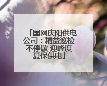国网庆阳供电公司：精益巡检不停歇 迎峰度夏保供电