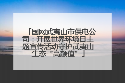 国网武夷山市供电公司：开展世界环境日主题宣传活动守护武夷山生态“高颜值”