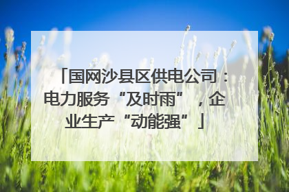 国网沙县区供电公司：电力服务“及时雨”，企业生产“动能强”