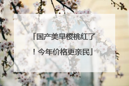 国产美早樱桃红了！今年价格更亲民