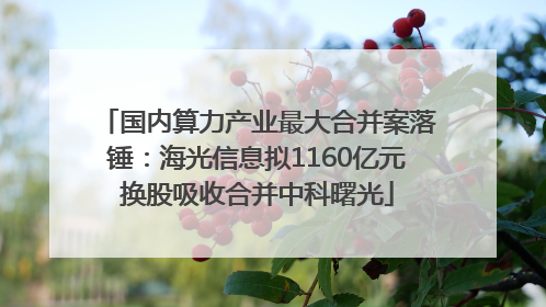 国内算力产业最大合并案落锤：海光信息拟1160亿元换股吸收合并中科曙光