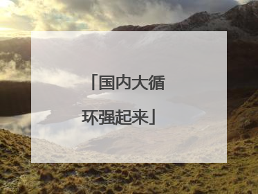 国内大循环强起来