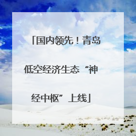 国内领先！青岛低空经济生态“神经中枢”上线