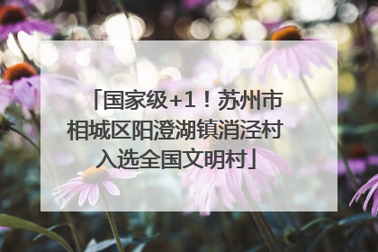 国家级+1！苏州市相城区阳澄湖镇消泾村入选全国文明村