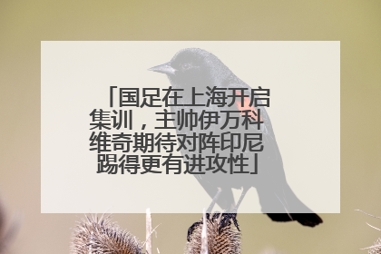 国足在上海开启集训，主帅伊万科维奇期待对阵印尼踢得更有进攻性