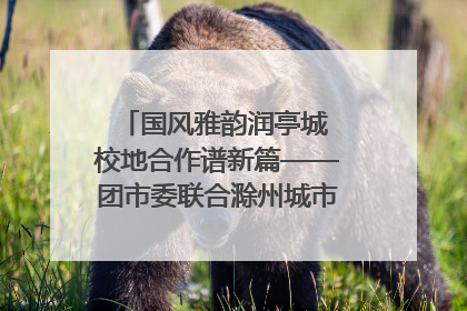 国风雅韵润亭城 校地合作谱新篇——团市委联合滁州城市职业学院助力传统文化“破圈”绽放