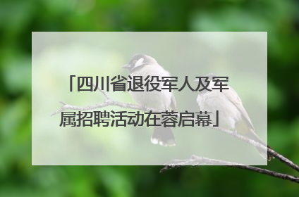 四川省退役军人及军属招聘活动在蓉启幕