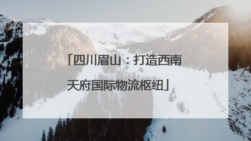 四川眉山：打造西南天府国际物流枢纽