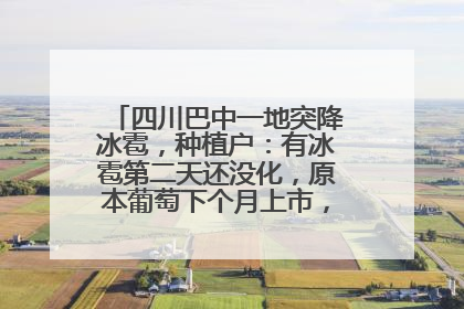 四川巴中一地突降冰雹，种植户：有冰雹第二天还没化，原本葡萄下个月上市，现在全被打落