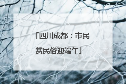四川成都：市民赏民俗迎端午
