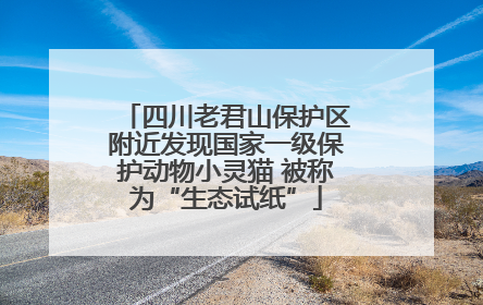 四川老君山保护区附近发现国家一级保护动物小灵猫 被称为“生态试纸”