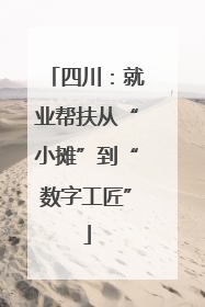 四川：就业帮扶从“小摊”到“数字工匠”