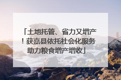 土地托管、省力又增产！获嘉县依托社会化服务助力粮食增产增收