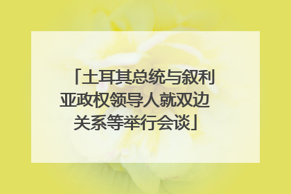 土耳其总统与叙利亚政权领导人就双边关系等举行会谈