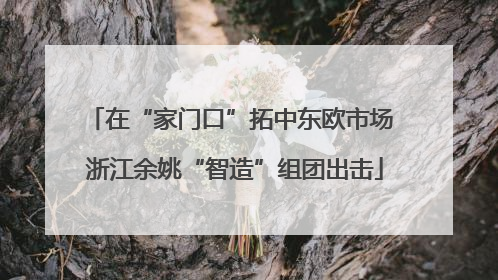 在“家门口”拓中东欧市场 浙江余姚“智造”组团出击