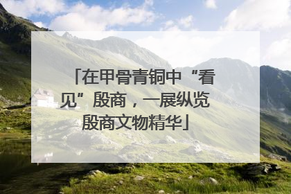 在甲骨青铜中“看见”殷商，一展纵览殷商文物精华