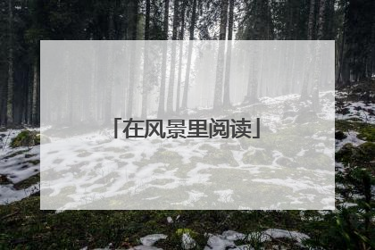 在风景里阅读