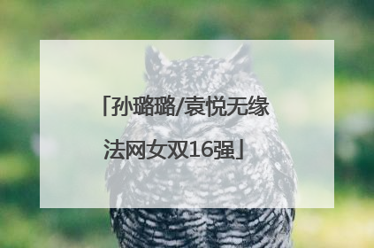 孙璐璐/袁悦无缘法网女双16强