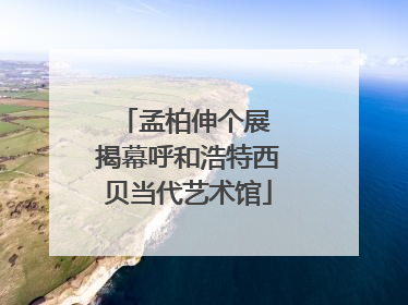 孟柏伸个展 揭幕呼和浩特西贝当代艺术馆