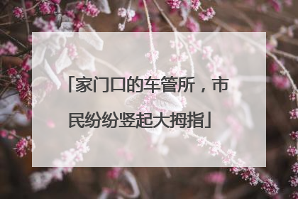 家门口的车管所，市民纷纷竖起大拇指