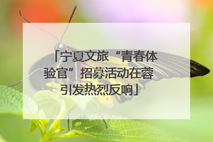 宁夏文旅“青春体验官”招募活动在蓉引发热烈反响
