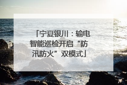 宁夏银川：输电智能巡检开启“防汛防火”双模式