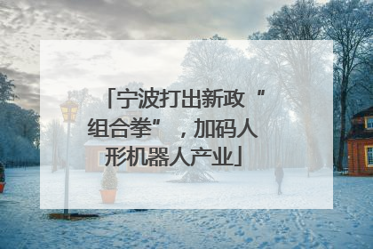 宁波打出新政“组合拳”，加码人形机器人产业