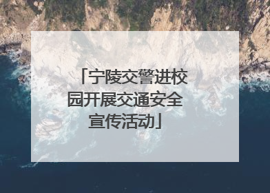 宁陵交警进校园开展交通安全宣传活动