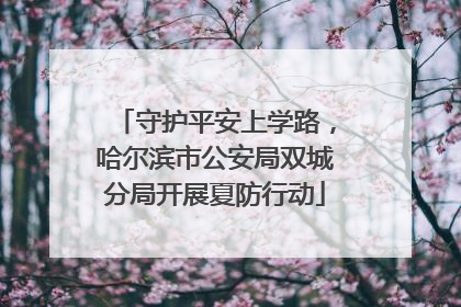 守护平安上学路，哈尔滨市公安局双城分局开展夏防行动