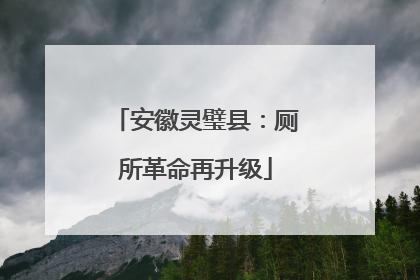 安徽灵璧县：厕所革命再升级