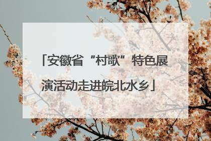 安徽省“村歌”特色展演活动走进皖北水乡
