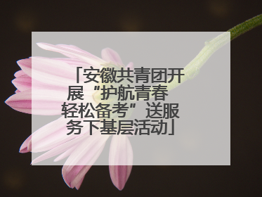 安徽共青团开展“护航青春 轻松备考”送服务下基层活动