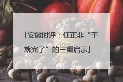 安徽时评：任正非“干就完了”的三重启示
