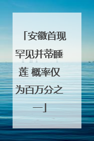 安徽首现罕见并蒂睡莲 概率仅为百万分之一