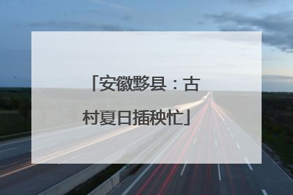 安徽黟县：古村夏日插秧忙